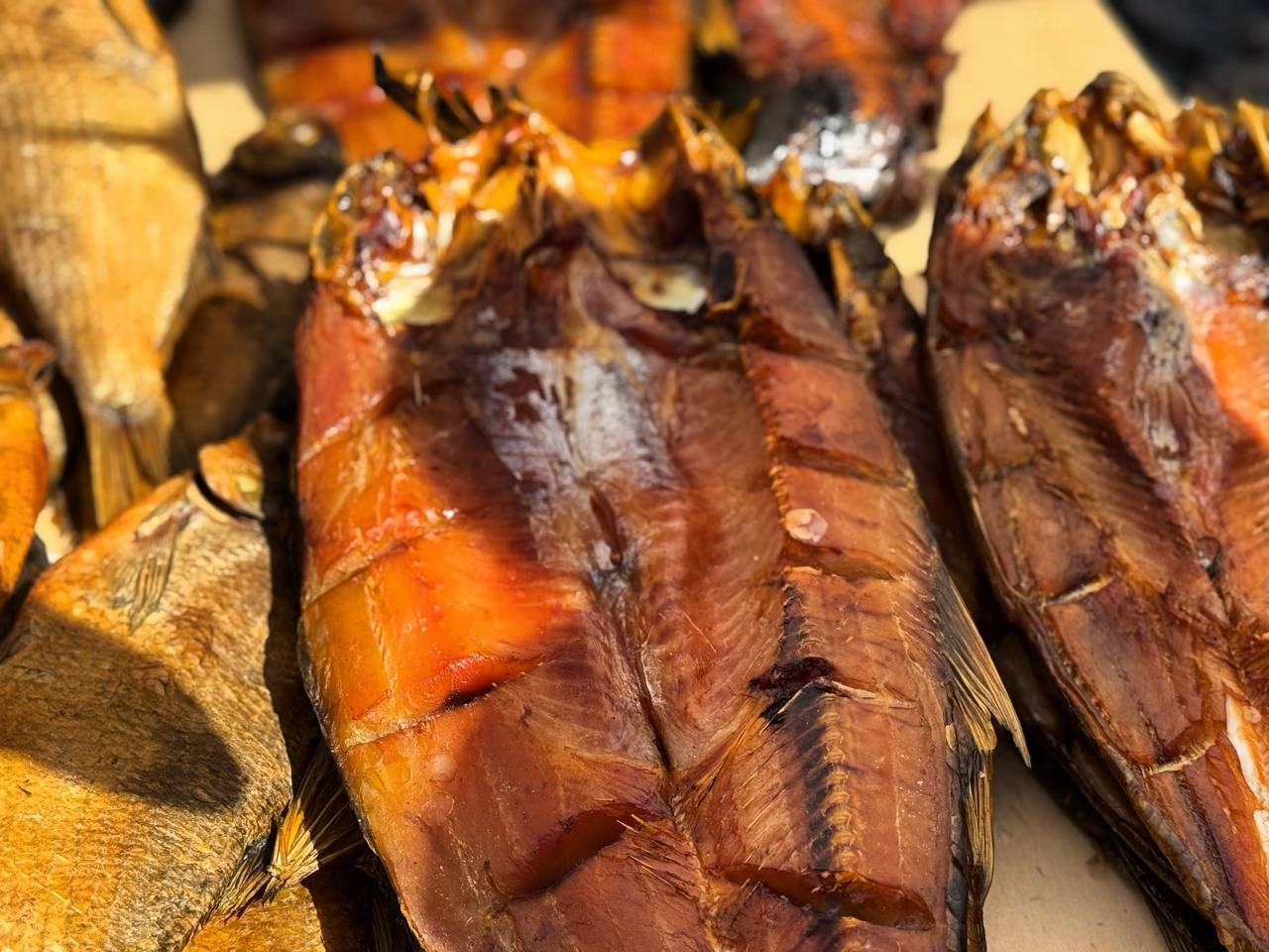 В Махачкале проходит рыбная и сельскохозяйственная ярмарка В Махачкале проходит рыбная и сельскохозяйственная ярмарка