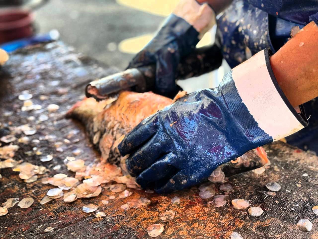 В Махачкале проходит рыбная и сельскохозяйственная ярмарка В Махачкале проходит рыбная и сельскохозяйственная ярмарка