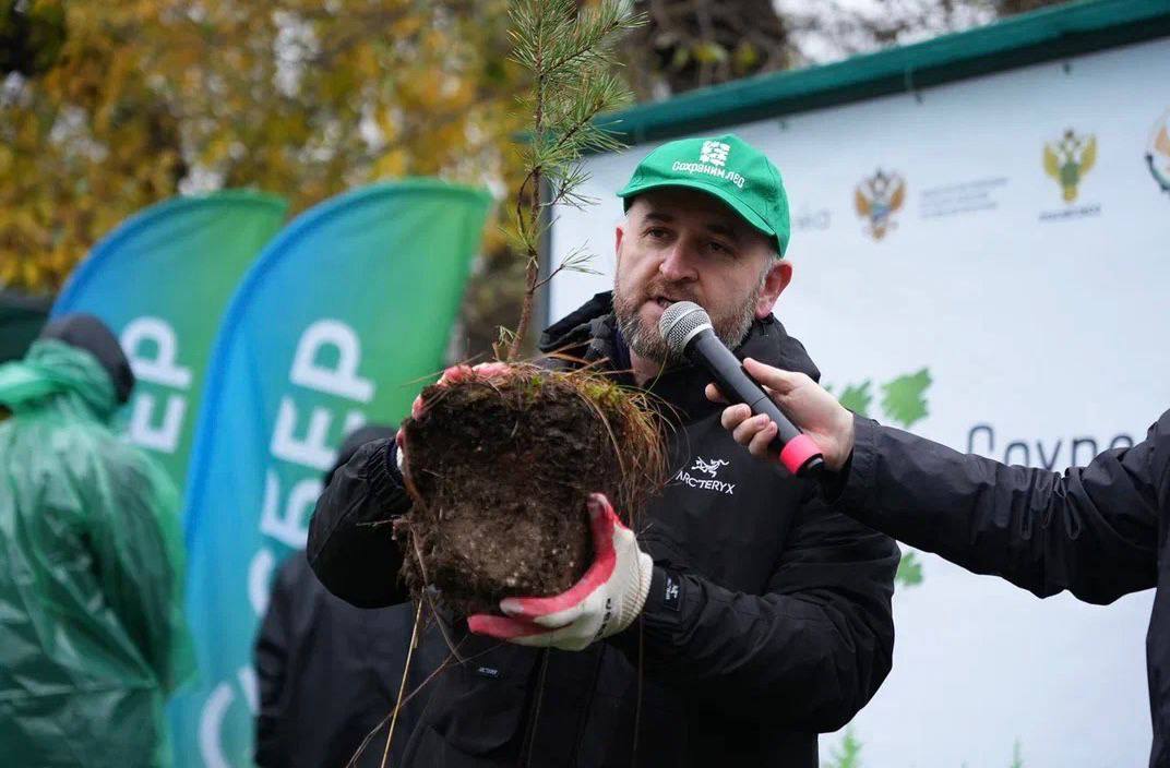 В парке им. Ленинского Комсомола Махачкалы высадили сосны в рамках акции «Сохраним лес»