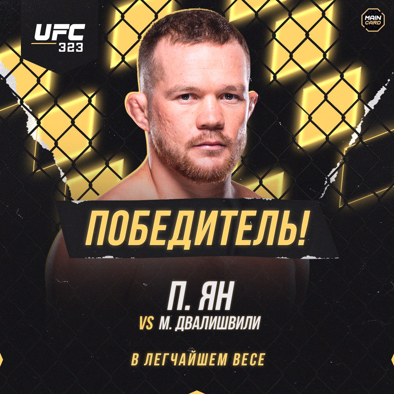 Петр Ян одолел Мераба Двалишвили единогласным решением судей