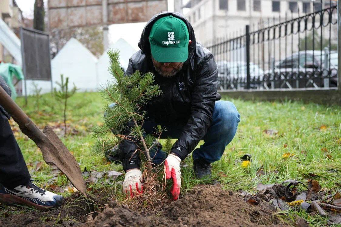 В парке им. Ленинского Комсомола Махачкалы высадили сосны в рамках акции «Сохраним лес» В парке им. Ленинского Комсомола Махачкалы высадили сосны в рамках акции «Сохраним лес»