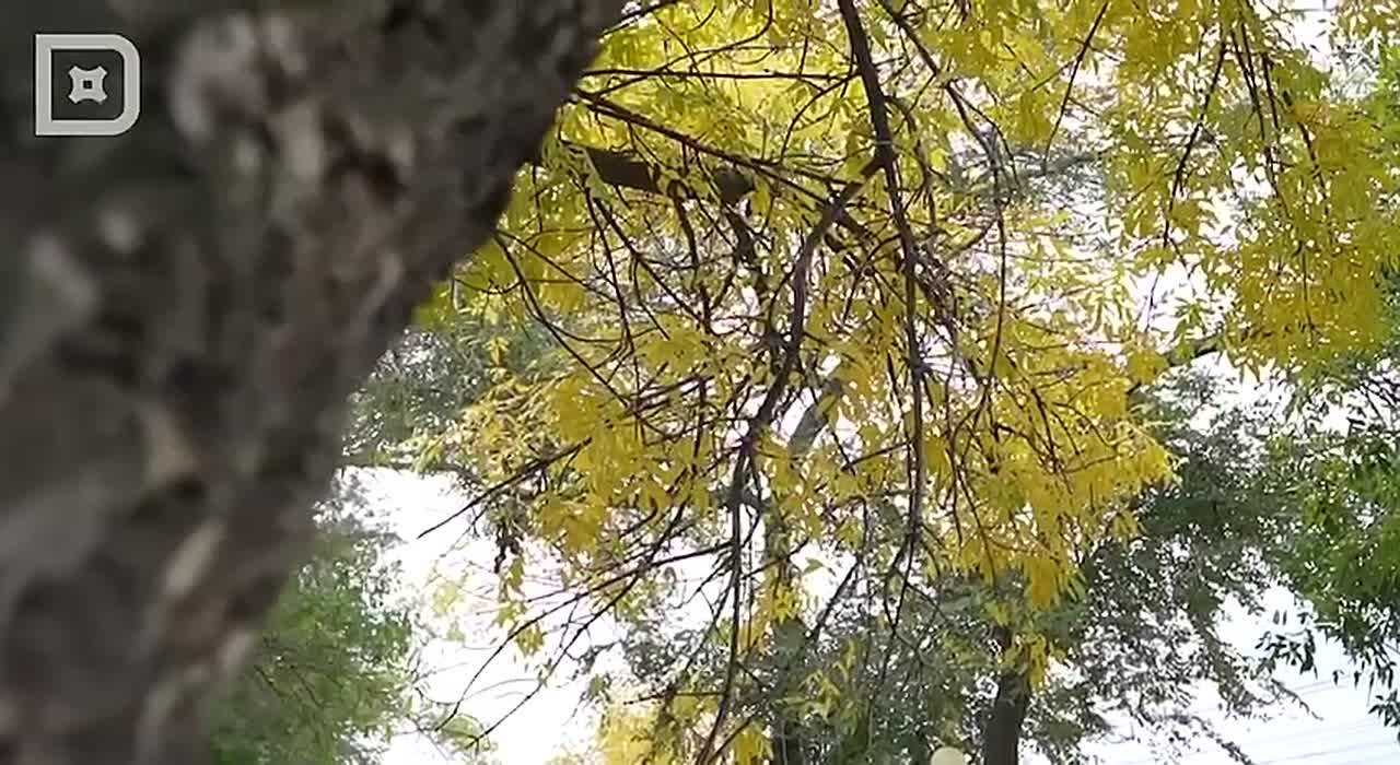 КОД БЕЗОПАСНОСТИ. ЛОЖНЫЕ ПРОРОКИ