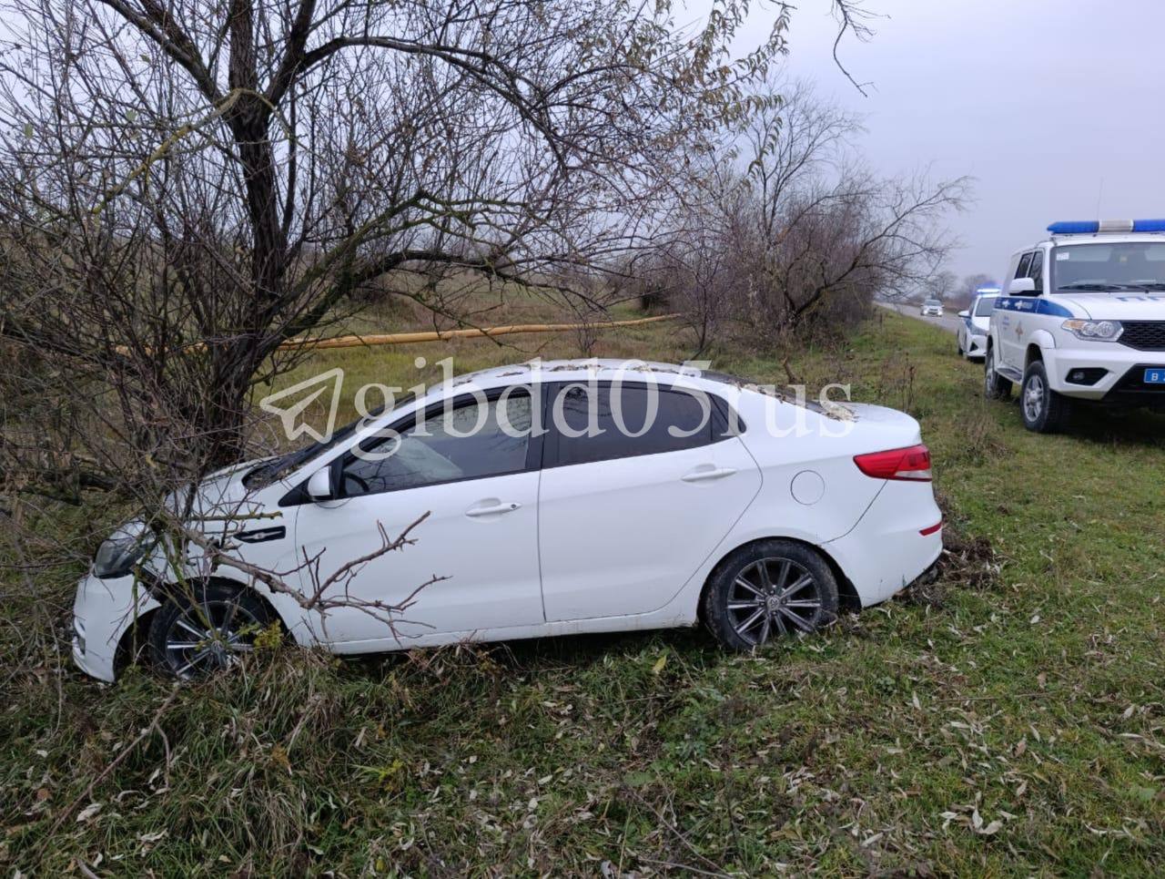 С 1 по 7 декабря на территории Дагестана случилось 30 ДТП, в результате которых 8 человек погибли, ещё 39 - получили различные травмы, сообщили в ГАИ республики С 1 по 7 декабря на территории Дагестана случилось 30 ДТП, в результате которых 8 человек погибли, ещё 39 - получили различные травмы, сообщили в ГАИ республики