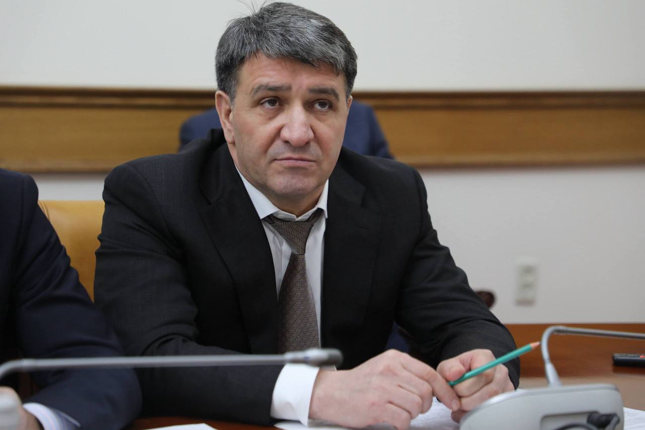 Проблема безнадзорных собак в центральной части Махачкалы решена более чем на 90%