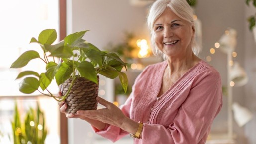 Эти цветы должны быть в доме у одинокой дамы: привлекут любовь и счастье
