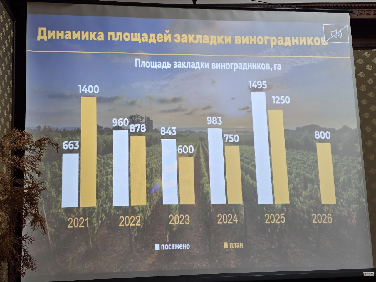 О сегодняшнем дне и перспективах развития виноградарской отрасли сообщил заместитель председателя Комитета по виноградарству и виноделию РД Ахмед Ахмедов О сегодняшнем дне и перспективах развития виноградарской отрасли сообщил заместитель председателя Комитета по виноградарству и виноделию РД Ахмед Ахмедов