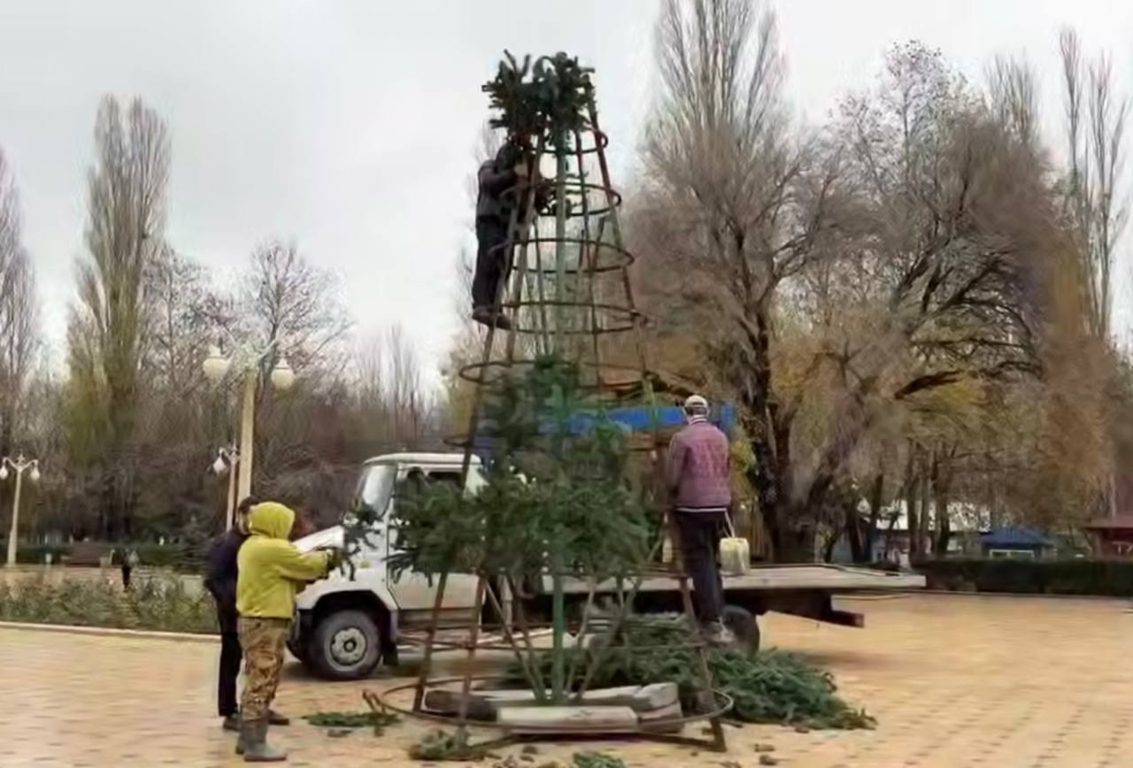 Где в Махачкале установят новогодние елки?
