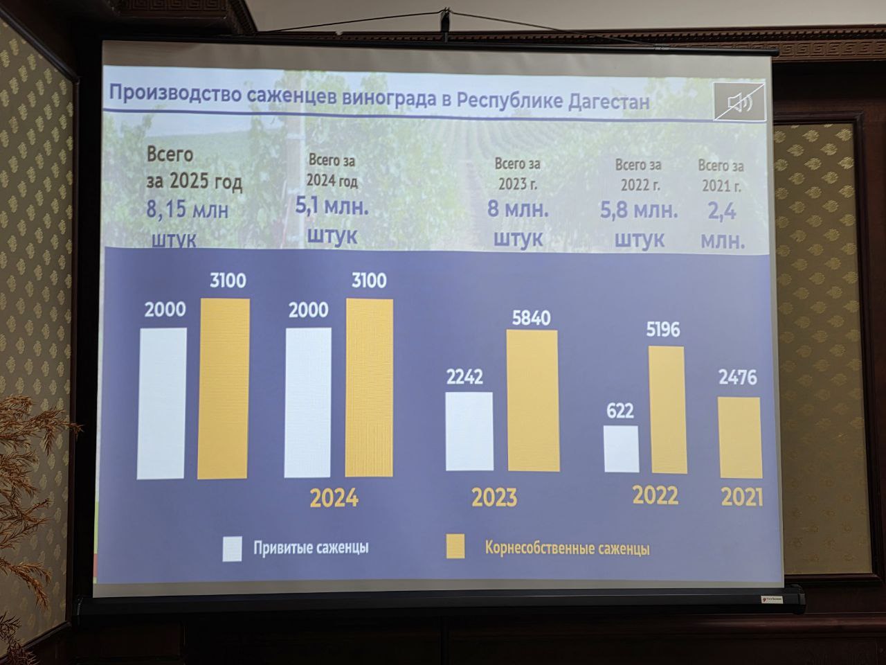 О сегодняшнем дне и перспективах развития виноградарской отрасли сообщил заместитель председателя Комитета по виноградарству и виноделию РД Ахмед Ахмедов О сегодняшнем дне и перспективах развития виноградарской отрасли сообщил заместитель председателя Комитета по виноградарству и виноделию РД Ахмед Ахмедов