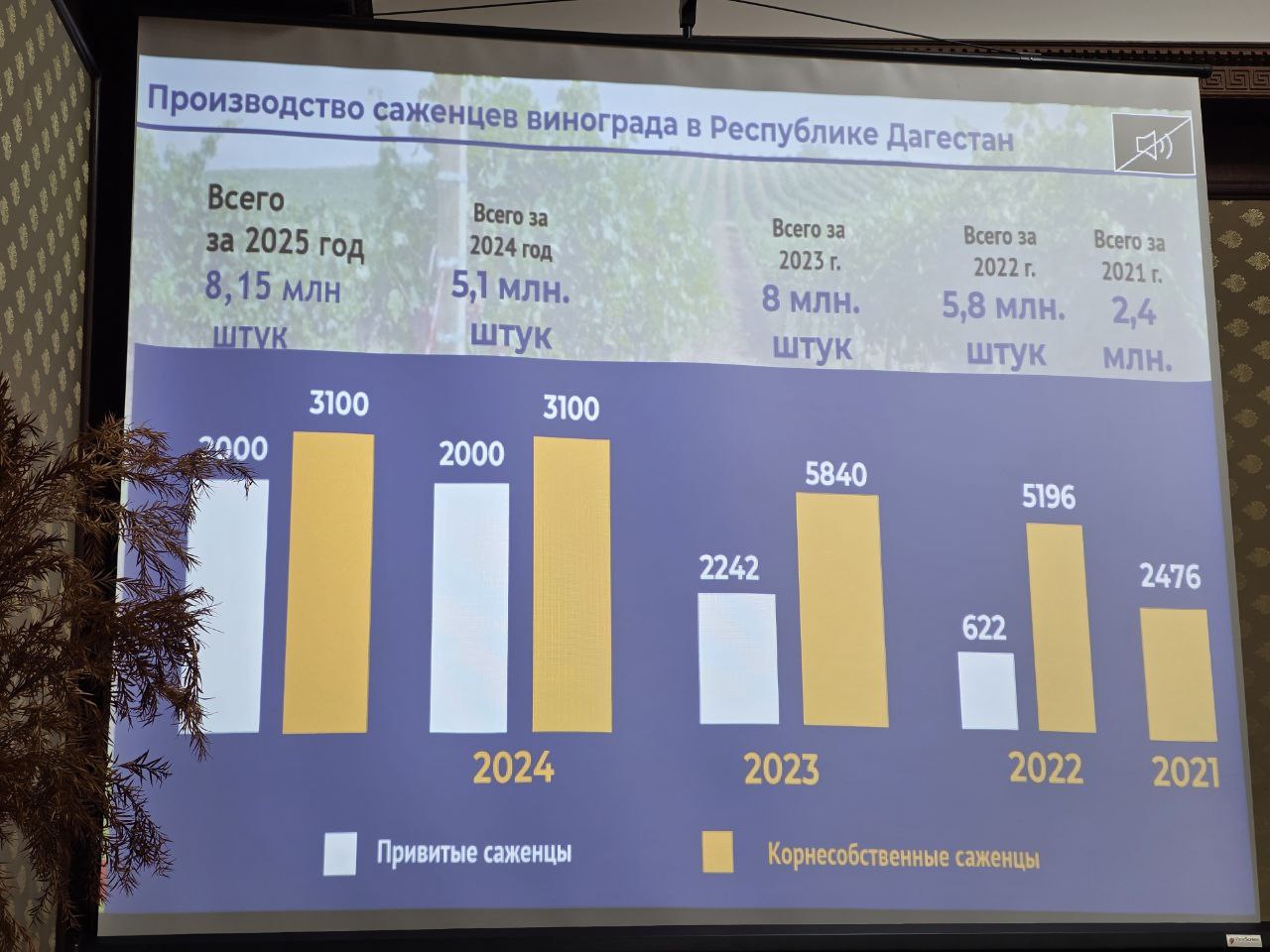 О сегодняшнем дне и перспективах развития виноградарской отрасли сообщил заместитель председателя Комитета по виноградарству и виноделию РД Ахмед Ахмедов О сегодняшнем дне и перспективах развития виноградарской отрасли сообщил заместитель председателя Комитета по виноградарству и виноделию РД Ахмед Ахмедов