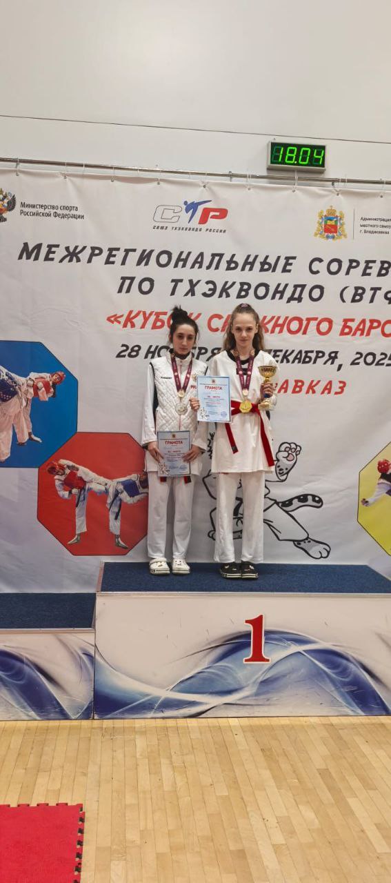 Во Владикавказе прошёл «Кубок снежного барса» по тхэквондо ВТФ