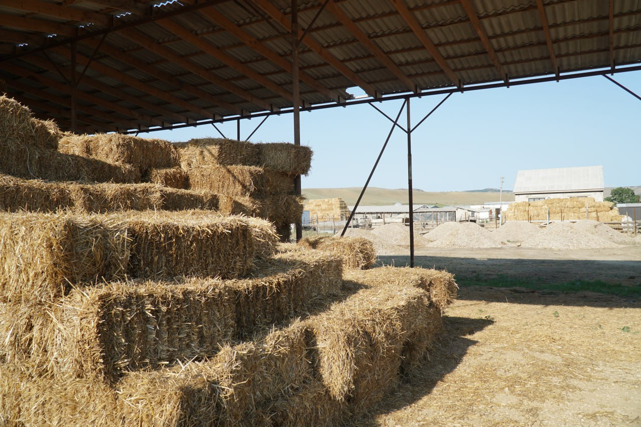 Аграрии Дагестана перевыполнили план по заготовке кормов на зиму 2025-2026 года Аграрии Дагестана перевыполнили план по заготовке кормов на зиму 2025-2026 года