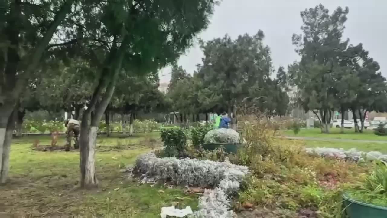 Несмотря на погоду, сотрудники коммунальной службы в Махачкале ежедневно ухаживают за зелёными насаждениями в городе