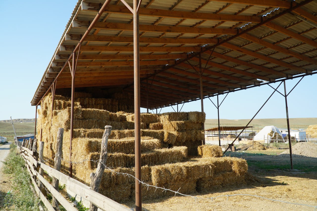 Аграрии Дагестана перевыполнили план по заготовке кормов на зиму 2025-2026 года! Аграрии Дагестана перевыполнили план по заготовке кормов на зиму 2025-2026 года!