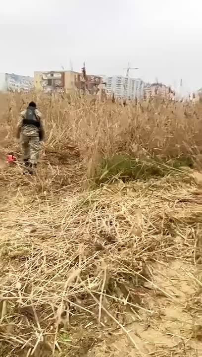 Около 1,2 га территории приведено в порядок в парке Ак-Гель