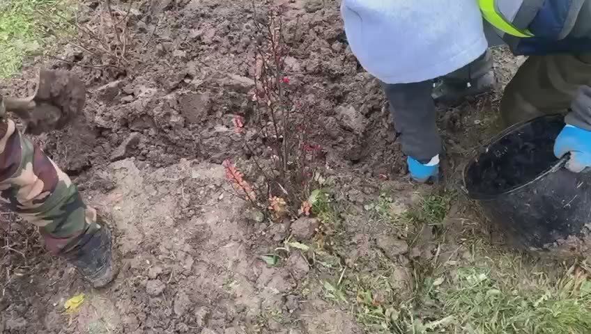 �������� �� �������� �������, ����������� ��� ���������������� ��������� ��������� ������ �� ����� �� ������� ������������ ������