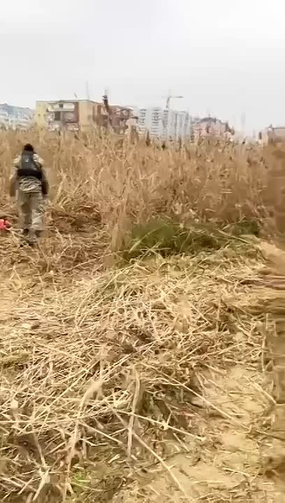 Парк Ак-Гель становится более привлекательным: за два дня специалисты Дирекции парков и скверов Махачкалы привели в порядок около 1,2 га территории