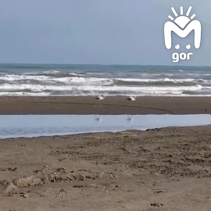 ��� ������� �������� � ����������� ��������� ������, ��� ����� ������ ��������� ���-�� �������� ����� ��������� �������