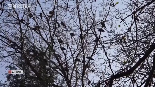 Страховые пенсии по старости в России проиндексируют на 7,6% с 1 января 2026 года