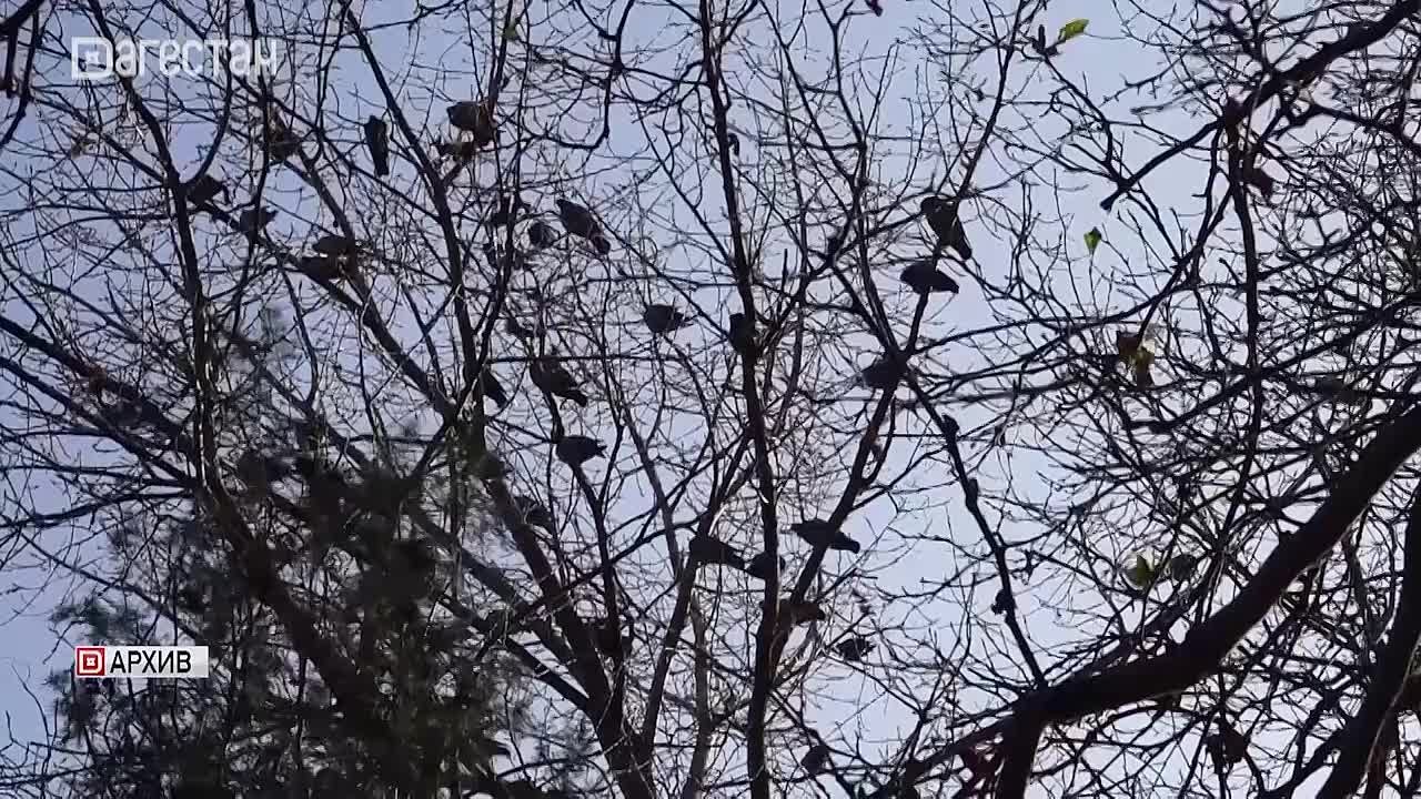 Страховые пенсии по старости в России проиндексируют на 7,6% с 1 января 2026 года