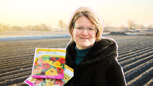 Снег пойдет им на пользу: семена этих растений можно посадить на грядки уже сейчас