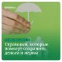 Как выбрать идеальную страховку и избежать финансовых потерь?