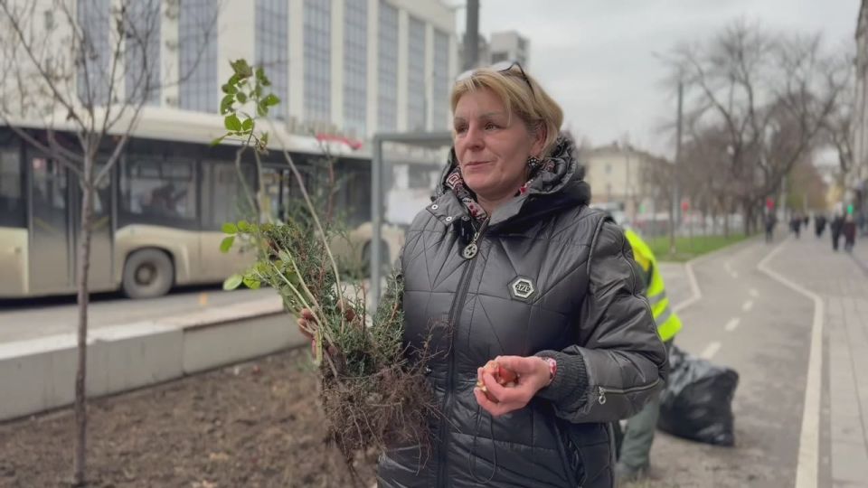 � ��������� ������������ �������� �������� ������ �� ���������� ��������� ����������