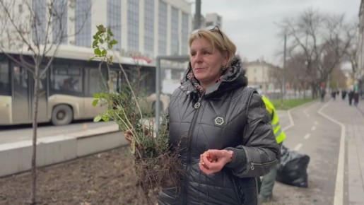В Махачкале продолжаются плановые сезонные работы по озеленению городских территорий