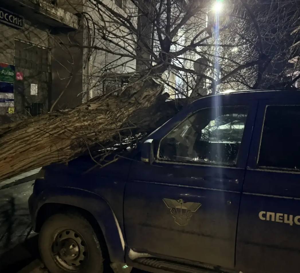 123 Городские коммунальные службы в связи с ухудшением погодных условий переведены на усиленный режим реагирования и оперативно проводят вывоз опавших деревьев на ул. А. Исмаилова и ул. Эмирова 123 Городские коммунальные службы в связи с ухудшением погодных условий переведены на усиленный режим реагирования и оперативно проводят вывоз опавших деревьев на ул. А. Исмаилова и ул. Эмирова