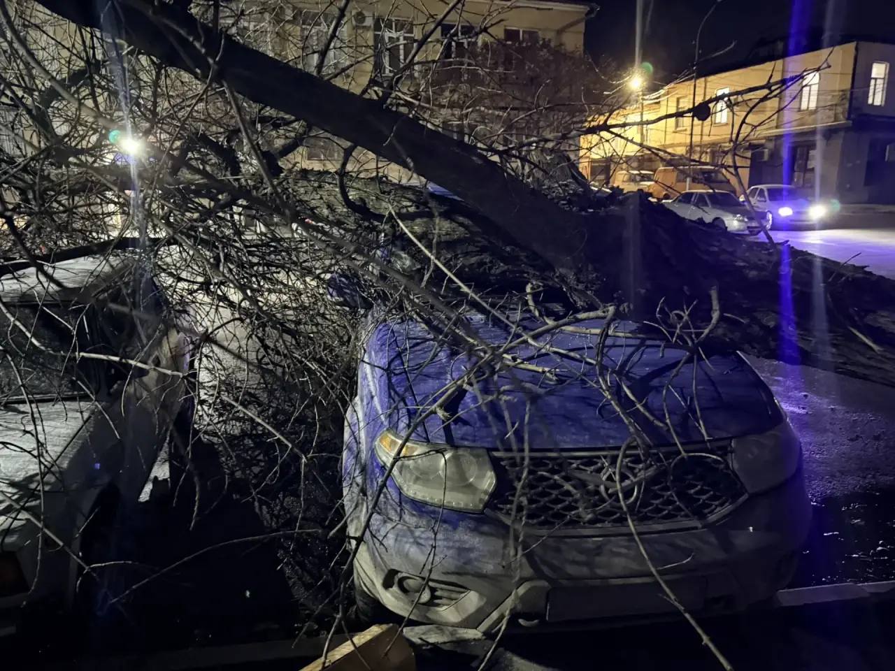 123 Городские коммунальные службы в связи с ухудшением погодных условий переведены на усиленный режим реагирования и оперативно проводят вывоз опавших деревьев на ул. А. Исмаилова и ул. Эмирова