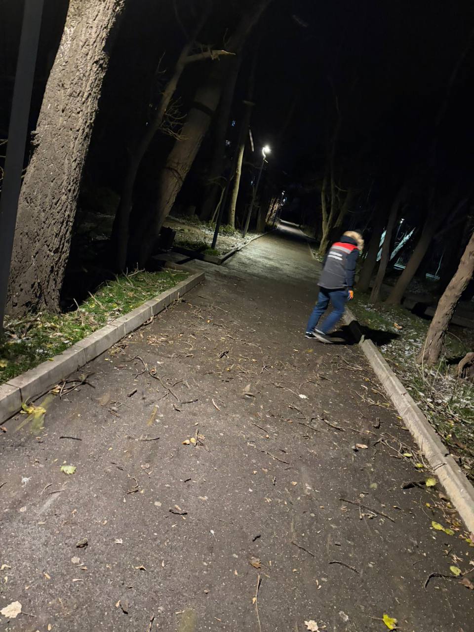 В парке Ленинского Комсомола в эти минуты ведутся работы по сбору и вывозу поваленных деревьев и веток работниками МБУ «Дирекция парков и скверов» В парке Ленинского Комсомола в эти минуты ведутся работы по сбору и вывозу поваленных деревьев и веток работниками МБУ «Дирекция парков и скверов»