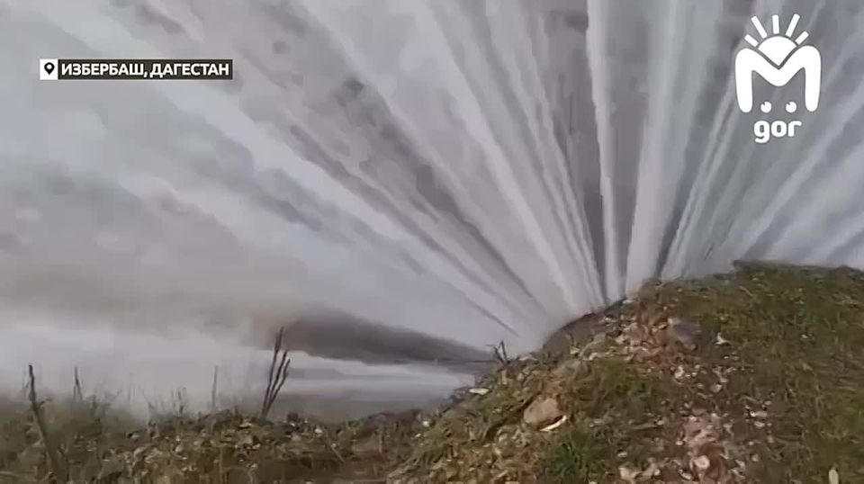 "������ ����� ����� ����"