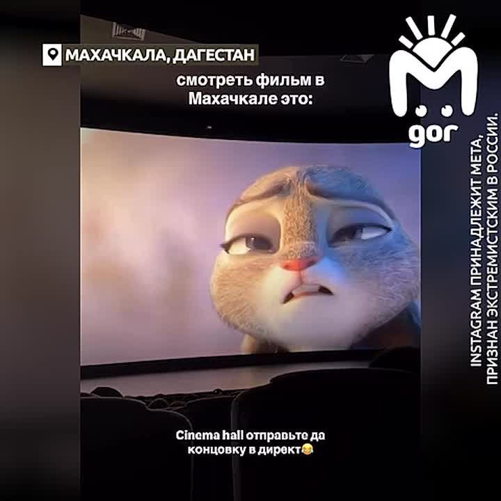 "���������! �� ����!". ������� ��� �������� ������� "�����������" � ������� �� ��������������� �������