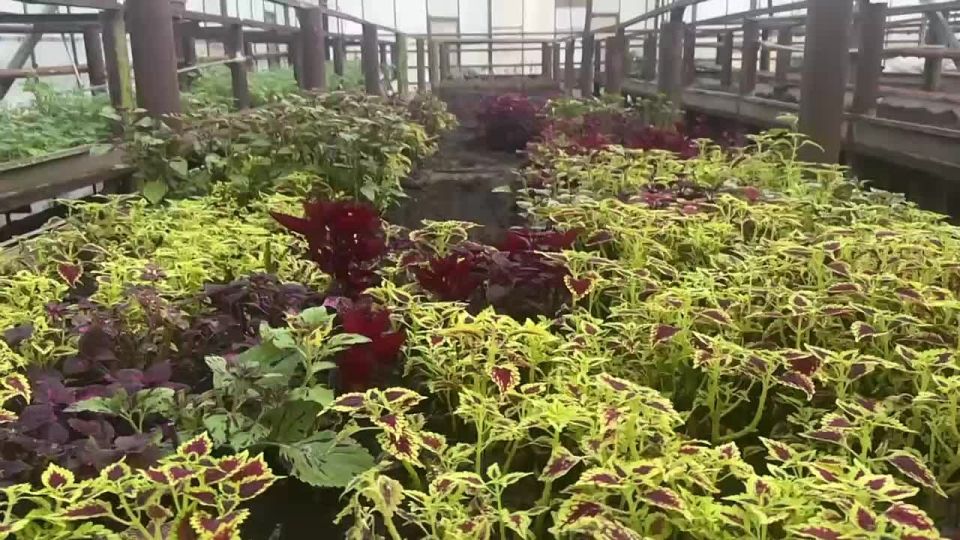 ������ ����������� ����� ��������� ���������� ������ ������� �������� �������� ��� ����������������, ��� ����������� � ������� ������������