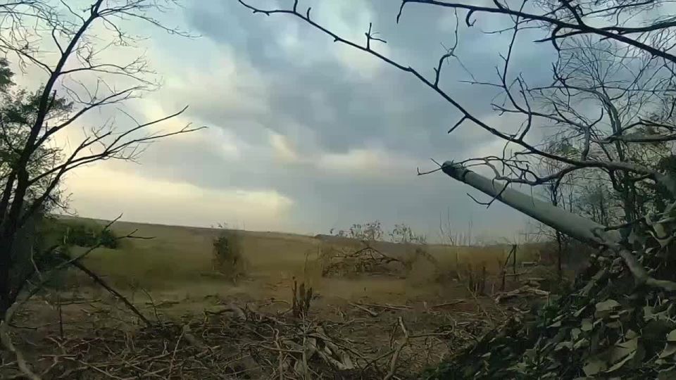 �� 31 ������� ������������ � ���������� �������� ������������� �������������� ������� ��� �������, ����������� �������� � ������ ������� �� 1 ��� � ����� � ��������������� ������������� �������������� �������� ������� �...