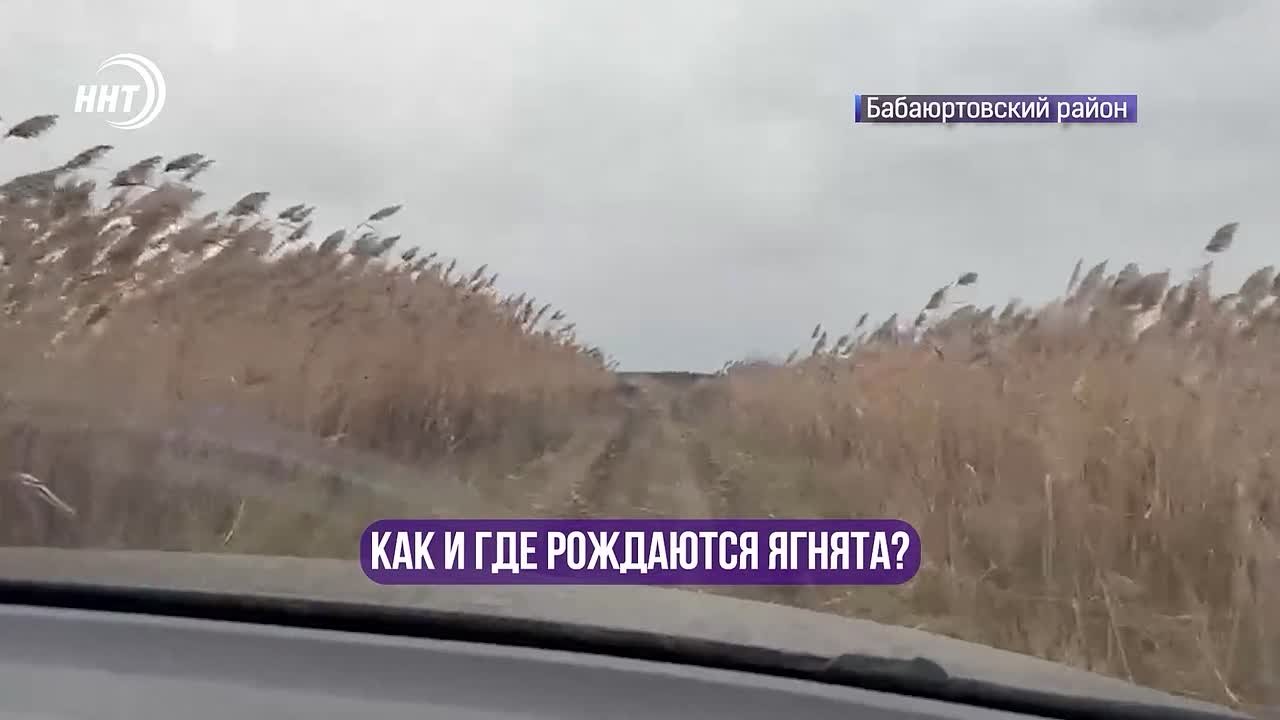 Будни чабана в горах Дагестана