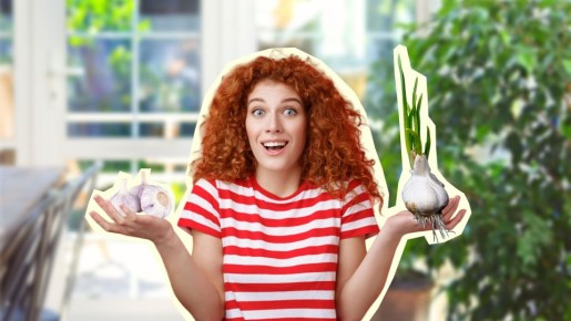 Посадите чеснок прямо сейчас, и соседи вам обзавидуются: вот в чем подвох с озимым