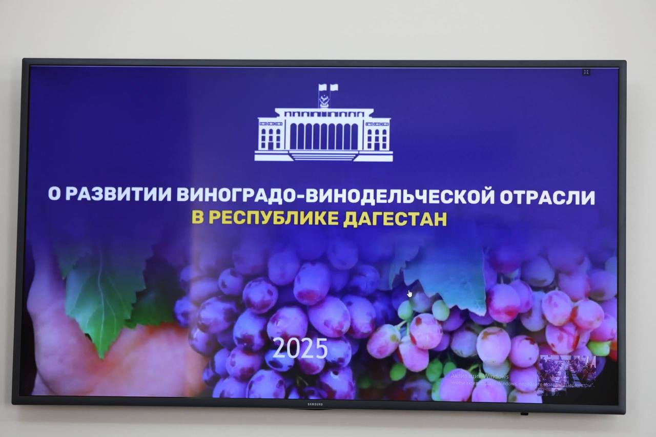 Абдулмуслим Абдулмуслимов:«Виноградарство остается бюджетообразующим экономическим сектором агропромышленного комплекса Дагестана» Абдулмуслим Абдулмуслимов:«Виноградарство остается бюджетообразующим экономическим сектором агропромышленного комплекса Дагестана»