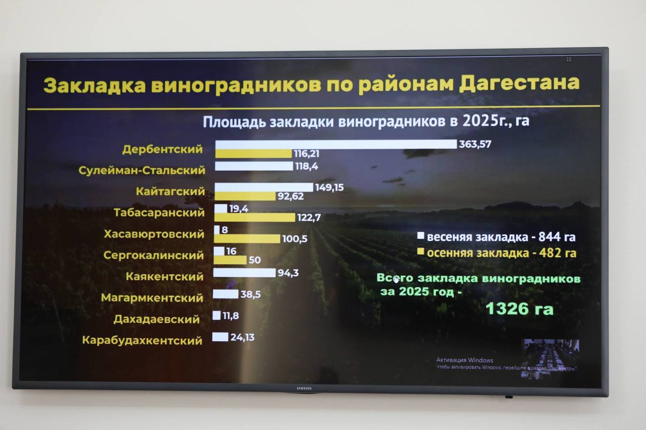 Абдулмуслим Абдулмуслимов:«Виноградарство остается бюджетообразующим экономическим сектором агропромышленного комплекса Дагестана» Абдулмуслим Абдулмуслимов:«Виноградарство остается бюджетообразующим экономическим сектором агропромышленного комплекса Дагестана»
