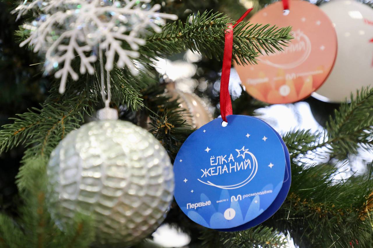 Вслед за Председателем Правительства к акции «Елка желаний» присоединились вице-премьеры, министры и руководители иных органов исполнительной власти Дагестана Вслед за Председателем Правительства к акции «Елка желаний» присоединились вице-премьеры, министры и руководители иных органов исполнительной власти Дагестана