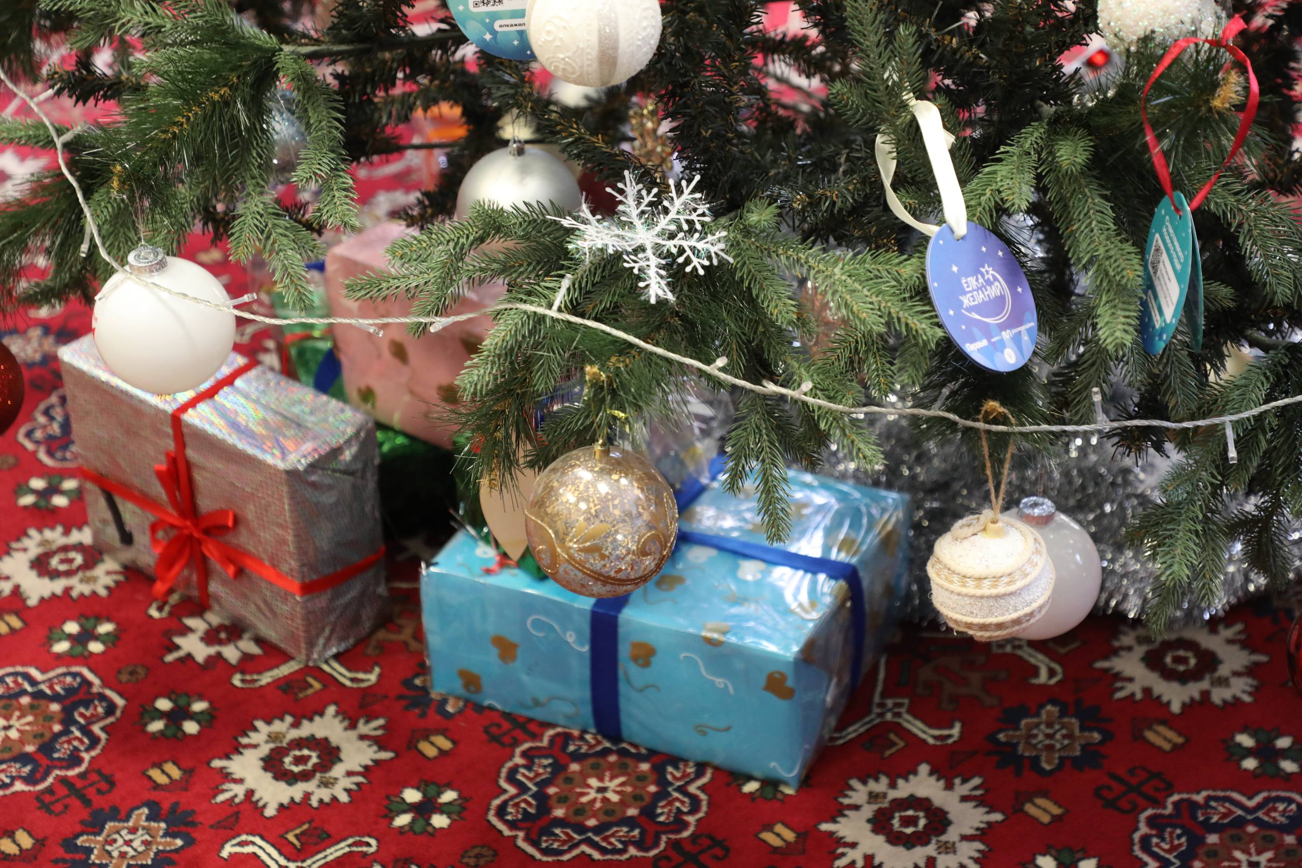 В преддверии новогодних праздников Магомед Тагиров принял участие в акции «Свет надежды» В преддверии новогодних праздников Магомед Тагиров принял участие в акции «Свет надежды»