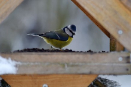 �� ��������� ������ ��� � �������� ��� ����: �������� �� ����� ��� ��������