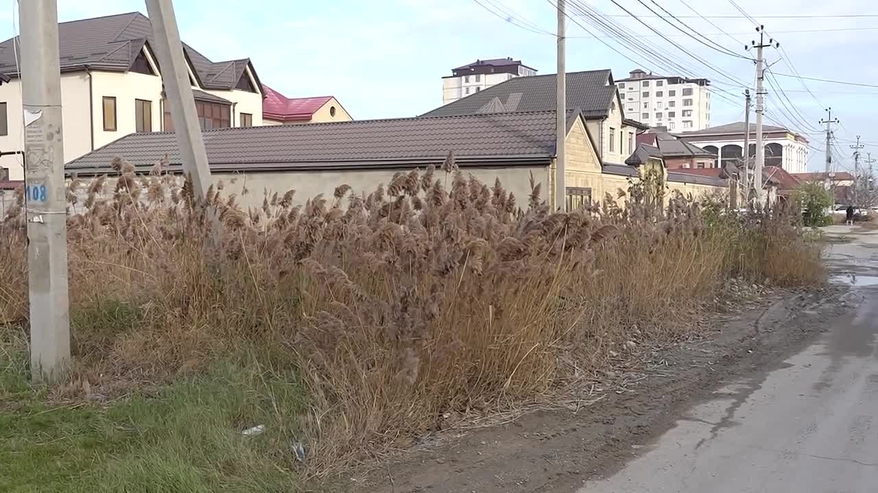 28 фактов самовольного занятия земель общего пользования выявили на ул. 65-летия Победы