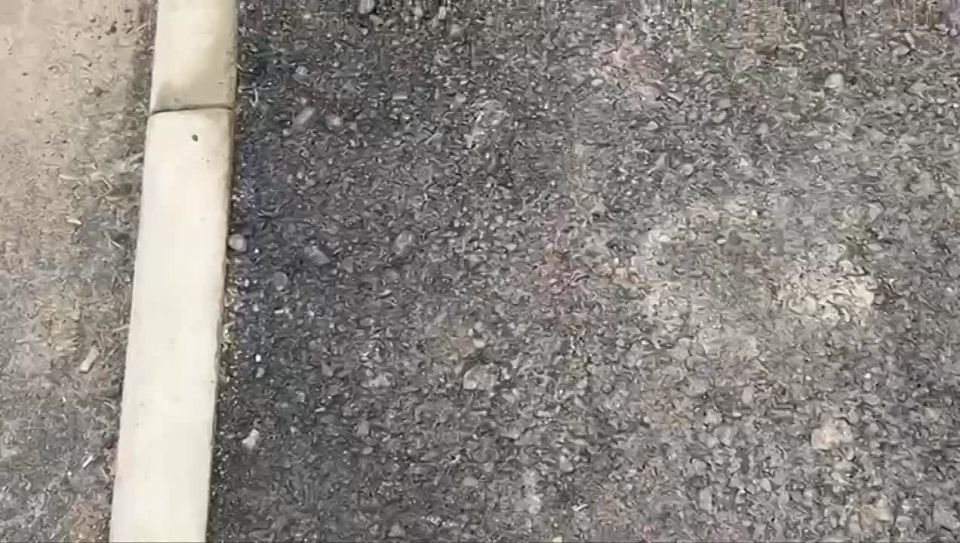 �� ����� 5-� ����� �������� ������������ ����������� ������ ��������� �������