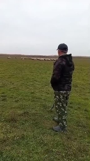 ������ �� ������� ������� ������ ���� ��������� ������