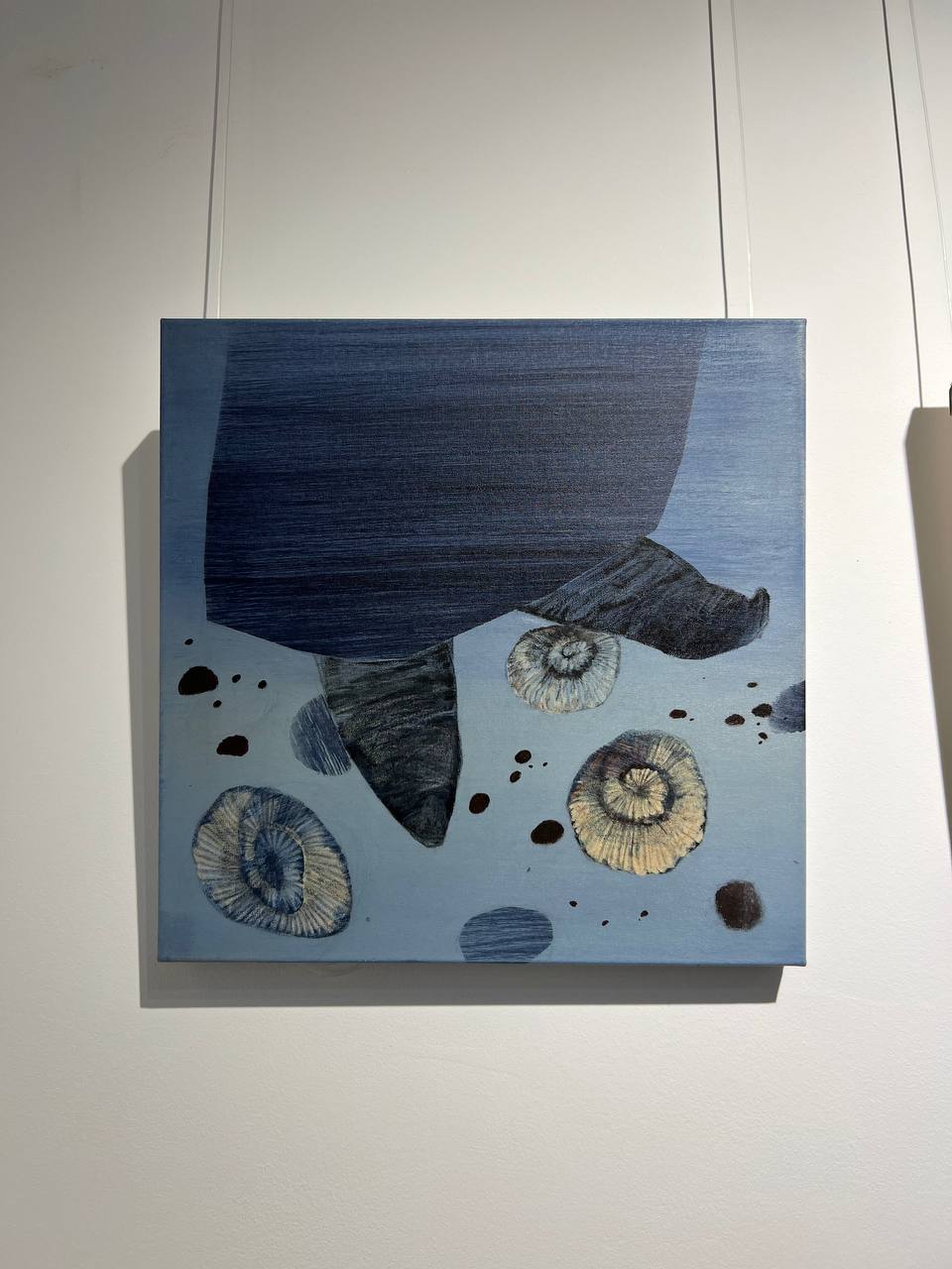 В Махачкале открылась персональная выставка молодой художницы Светланы Савельевой В Махачкале открылась персональная выставка молодой художницы Светланы Савельевой