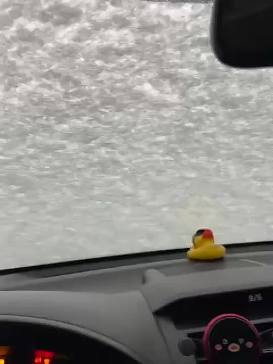 ���� �����