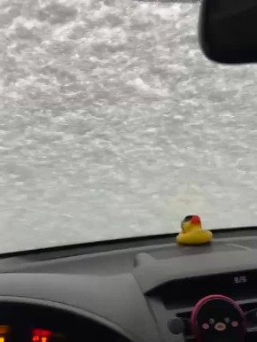 ���� �����