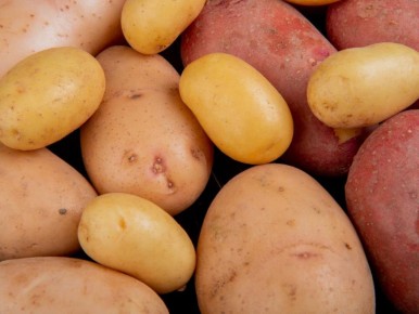 ��������� ������ ��������: ��� ������� ��������� �������� ��� ��������� ������