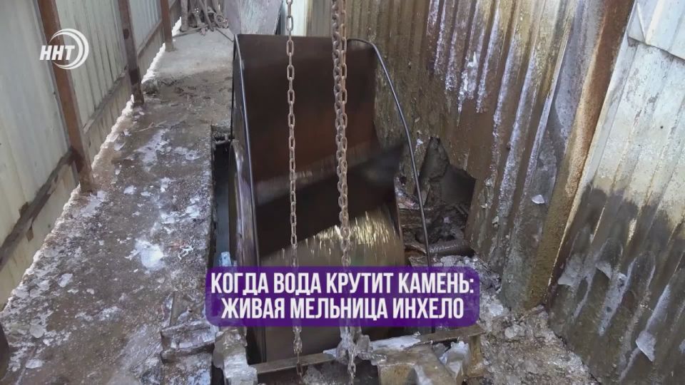 ����� ���� ������ ������: ����� �������� ������