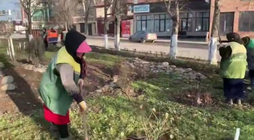 На проспекте Имама Шамиля в Махачкале благоустраивают зелёные зоны